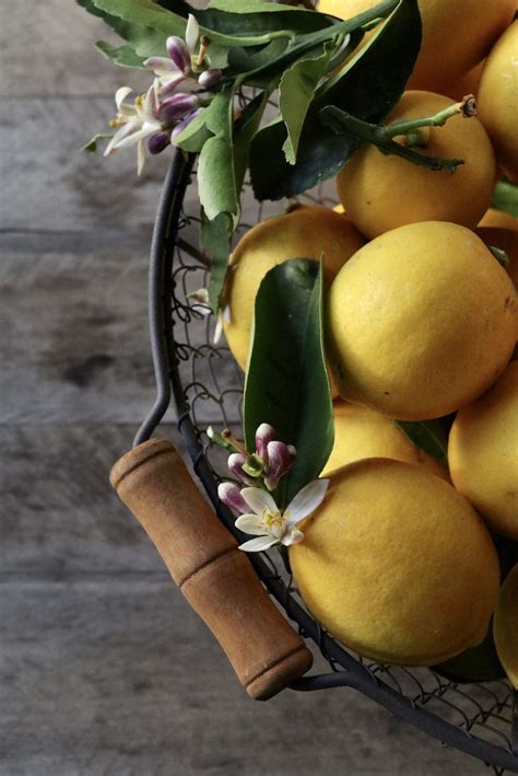 Basket Of Fresh Picked Lemons Lemon Pictures Food Art Photography