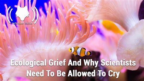 Ecological Grief And Why Scientists Need To Be Allowed To Cry Youtube