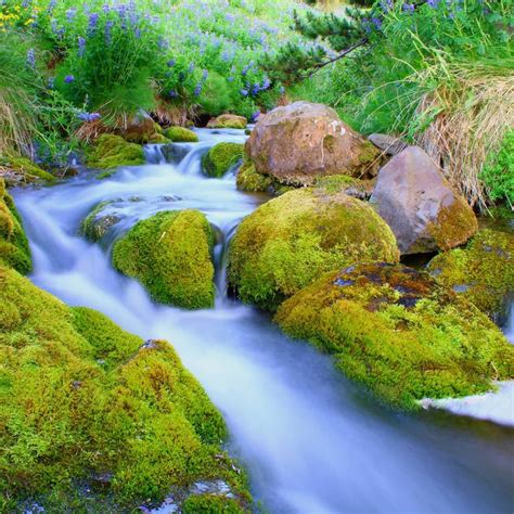 Cascading Waterfalls With Moss Covered Rocks Waterfall Nature