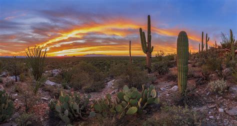 Stretching 3 Image Panorama Of A Beautiful End Of Day At The Sonoran