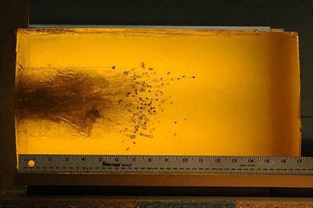 Durawe company 12 gauge shot glass, set of 4 shots with pourer, great gift drinking glass set for men, luxury gift set, durable plastic shot glasses. Shotgun Penetration With Various Rounds - The Truth About Guns