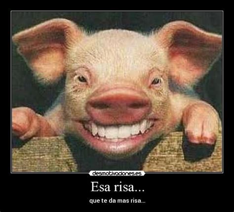 Todo sobre amor y Variedades : Imágenes que dan risa..