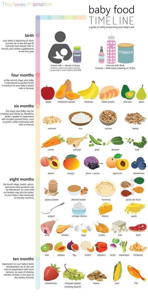 In stage 1, babies are introduced to their first foods. Food stages for todlers | Baby food timeline, Baby food ...