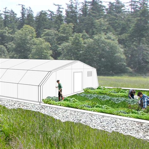 Projects — Seattle Urban Farm Company