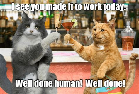 Well Done Human Cats Fur Babies Humor