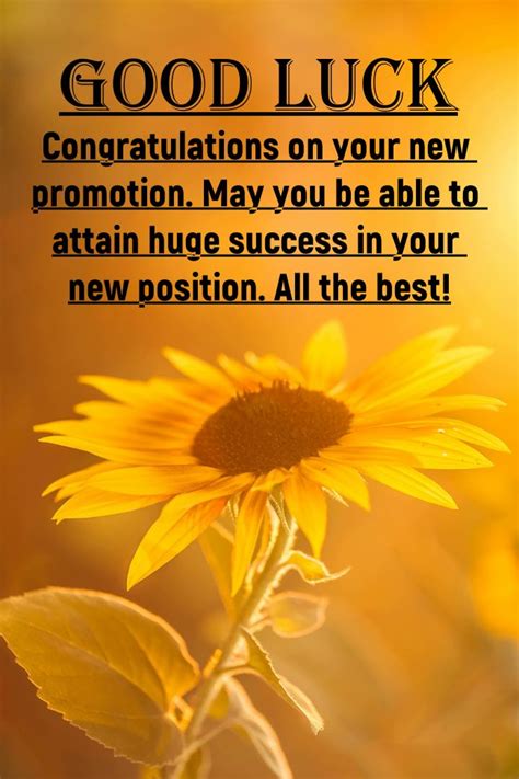 110 Good Luck Wishes Messages And Quotes With Beautiful Images Boomsumo
