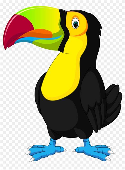 Toucan Bird Cartoon Cute Toucan Bird Cartoon Royalty Free Vector Image