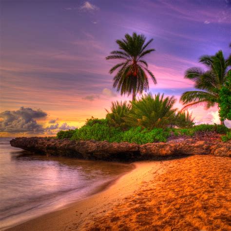 Download hd wallpapers for free on unsplash. Beach iPad Air Wallpapers Free Download