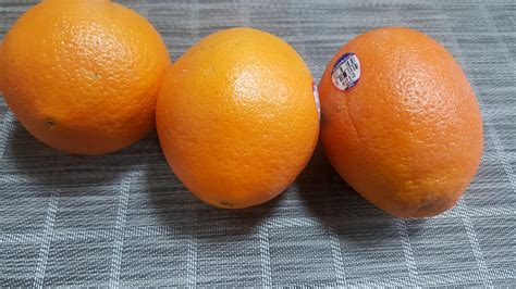 생활정보 오렌지 껍질 쉽게 까는법 3가지