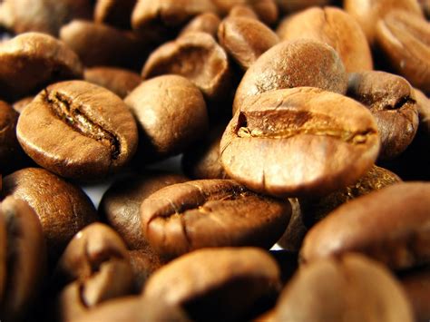 Coffee Grain Wallpapers And Images Wallpapers Pictures Photos