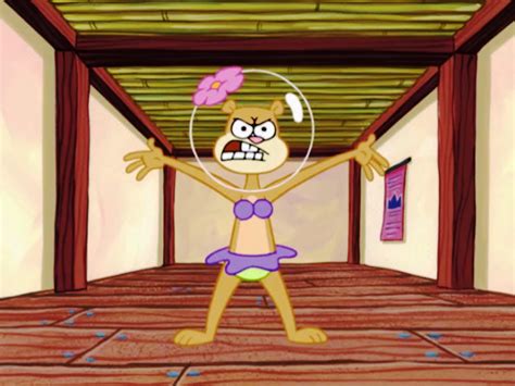 Sandy Cheeks Pictures Images Page 5