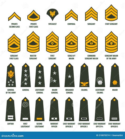 Usa Army Enlisted Ranks Chevrons With Insignia Stock Vector