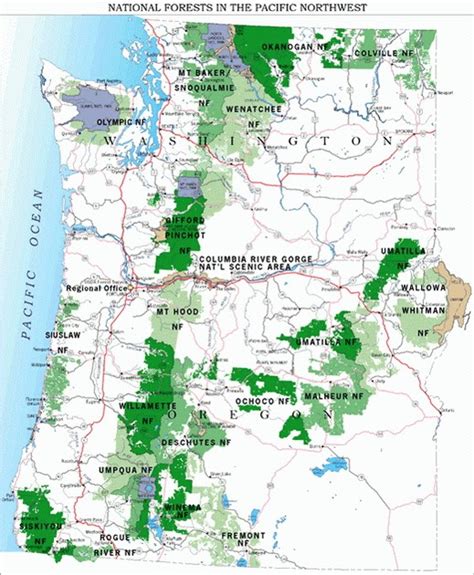 Washington National Forest Map Tourist Map Of English
