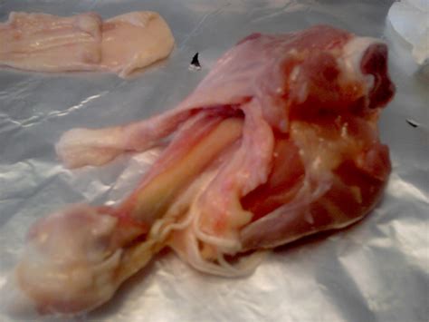 Maybe you would like to learn more about one of these? My Class Blog: Human Biology: Chicken Leg Dissection Lab ...