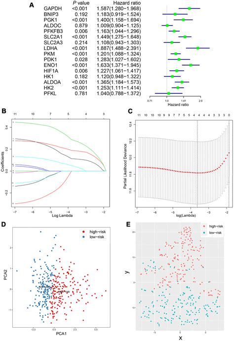 Development And Validation Of A Prognostic Classifier Based On Hif 1