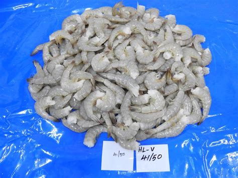 Headless Vannamei Shrimps K V Marine Exports Chennai