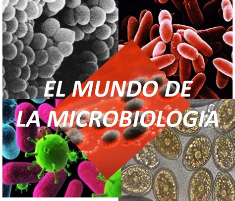 la biología cosmopolita ¿que es la microbiologia