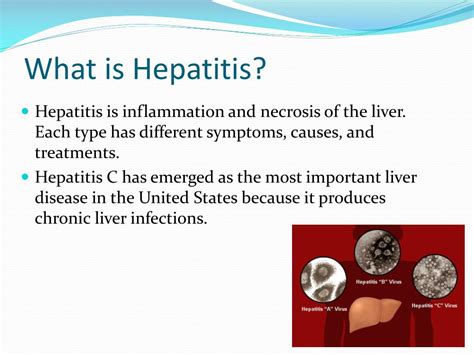 Ppt Hepatitis A B And C Powerpoint Presentation Free Download Id