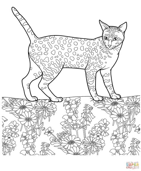 Egyptian Mau Coloring Page Free Printable Coloring Pages
