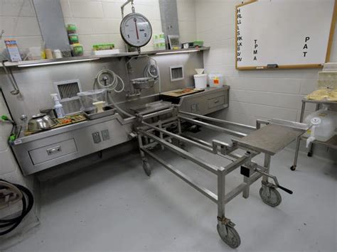 Watchdog Local Bodies Shipped For Autopsies