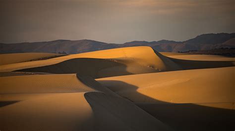 Download Wallpaper 2560x1440 Desert Dunes Hills Sand Dusk