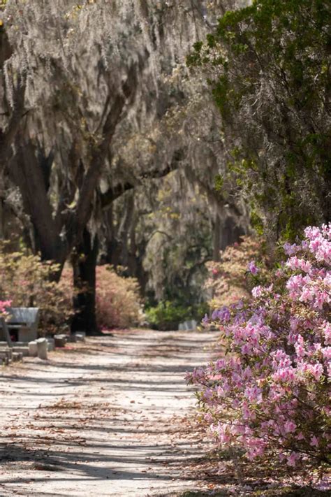 14 Free Things to Do in Savannah, GA - Road Trips & Coffee | Resource