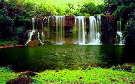 Waterfall In The Thick Green Forest River Pond Weed Hd