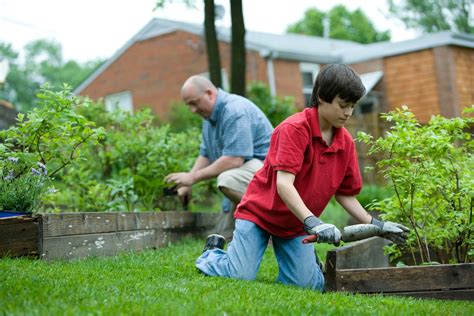 Get Gardening 5 Tips For A Long Lasting And Environmentally Friendly