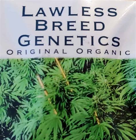 Contoh brand image lawless burger bar | kuliah marketing #7. Exotic Genetix Wonka Bars - Luscious Genetics