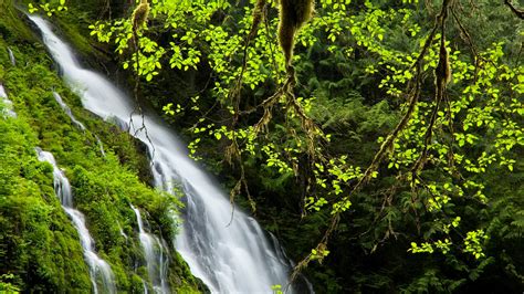 Over 40,000+ cool wallpapers to choose from. Nice HD Waterfall in Green Jungle Wallpaper | HD Wallpapers