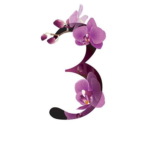 The Number Three Is Made Up Of Purple Orchids