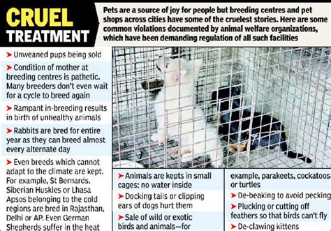 Cruelty In Pet Shops Plea To Law Panel For Rules Delhi News Times
