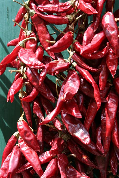 Red Chili Peppers Free Stock Photo Public Domain Pictures
