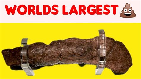 Worlds Largest Poop💩chanchalatips8555 131 Youtube