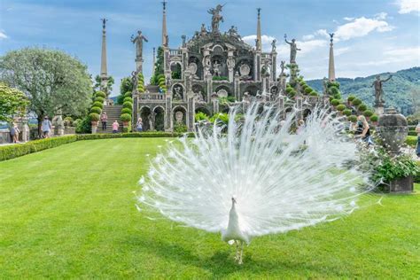 10 Cose Belle Da Vedere E Fare A Stresa