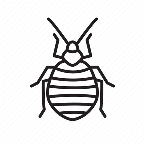 Bed Bugs Png Clipart Png Mart