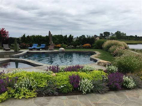 An Outdoor Swimming Pool Surrounded By Flowers And Plants In The