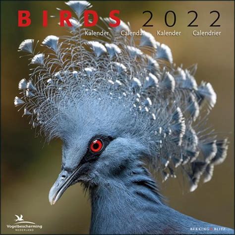 Birds Kalender 2022 Bol