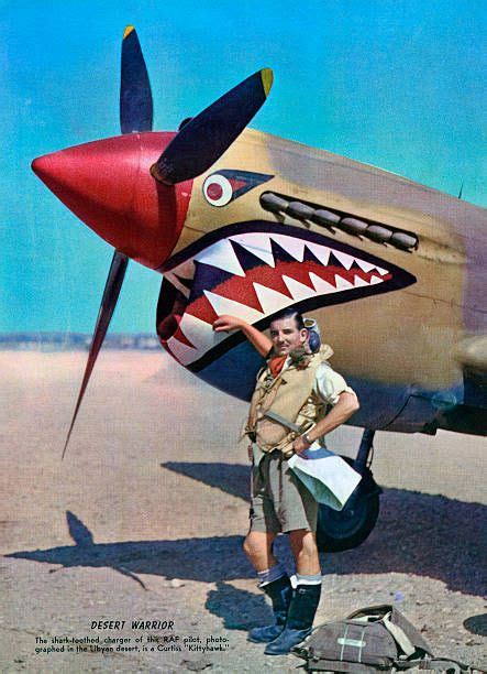 Desert Warrior An Raf Pilot Stands Next To His Curtiss Kittyhawk