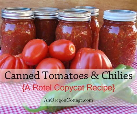 Top rotel dip recipes and other great tasting recipes with a healthy slant from sparkrecipes.com. Canned Tomatoes & Chilies {a Rotel Copycat Recipe}