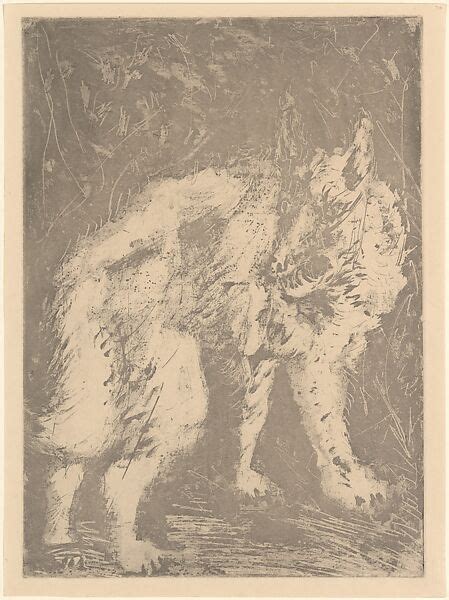 Pablo Picasso Wolf From Picasso Original Etchings For The Texts Of