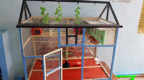 Bird cage decorated with christmas lights. Love Birds Cage || Nest_Home_House || Bird Cage - YouTube