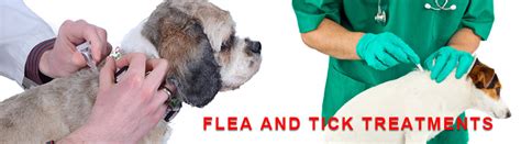 Flea And Tick Treatments For Dog Petcaresupplies Blog