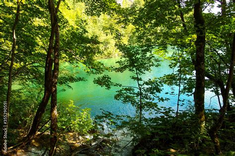 Landscape Of Turquoise Lake In The Forest Plitvice Lakes National Park