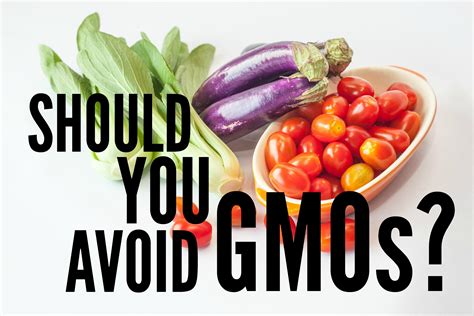 The Easy To Understand Gmo Guide What Where And 5 Simple Shopping