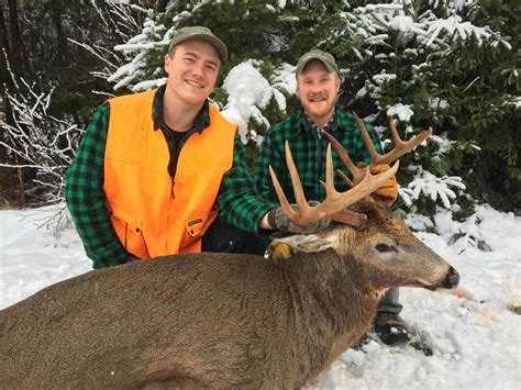 Guided Maine Deer Hunts Trophy Deer Hunts With Meals And Lodging