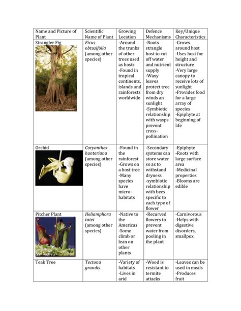 Name and Picture of Plant Scientific Name of Plant Growing