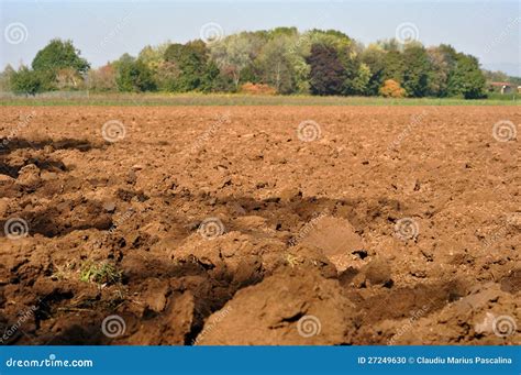 Brown Soil Stock Photo Image Of Seeds Earth Soil Land 27249630