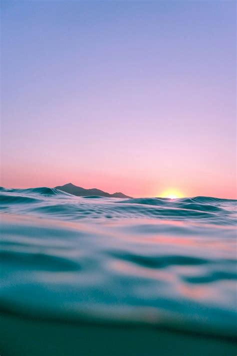 Pin by Abril on Sfondi | Iphone wallpaper tropical, Wallpaper iphone