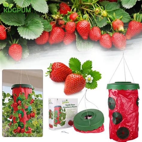 Reusable Garden Vertical Grow Bag Down Tomato Strawberry Planter